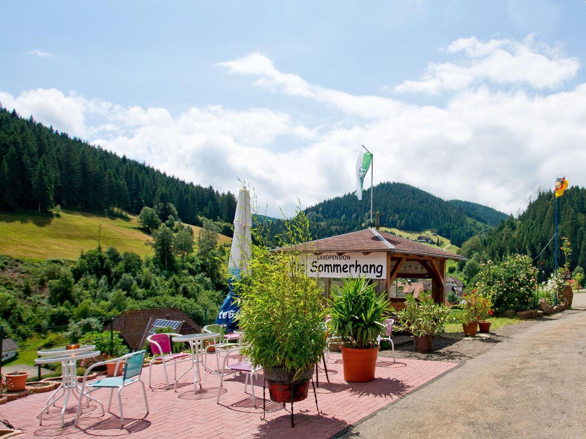 Landpension Am Sommerhang Bad Rippoldsau-Schapbach Экстерьер фото