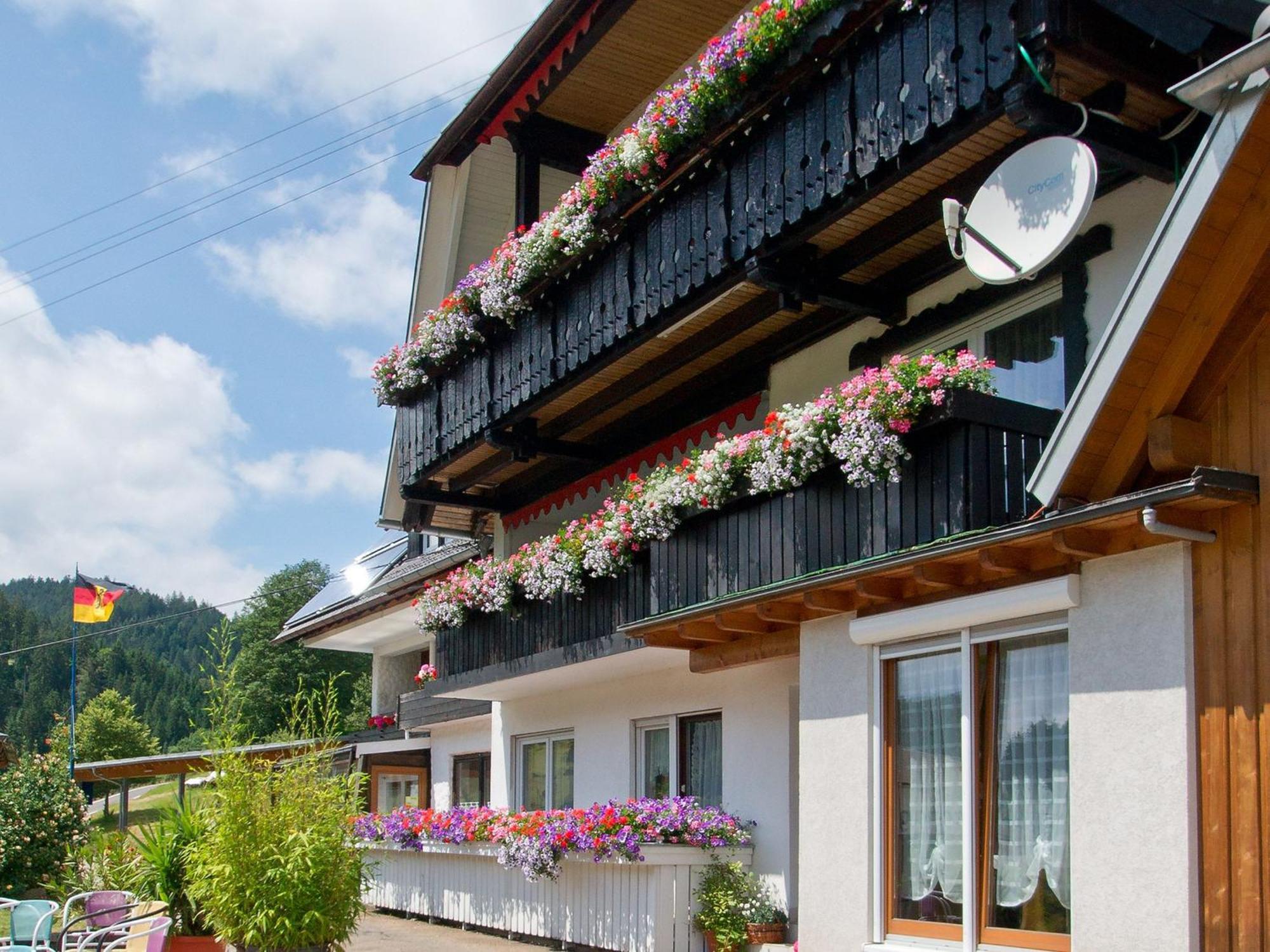 Landpension Am Sommerhang Bad Rippoldsau-Schapbach Экстерьер фото