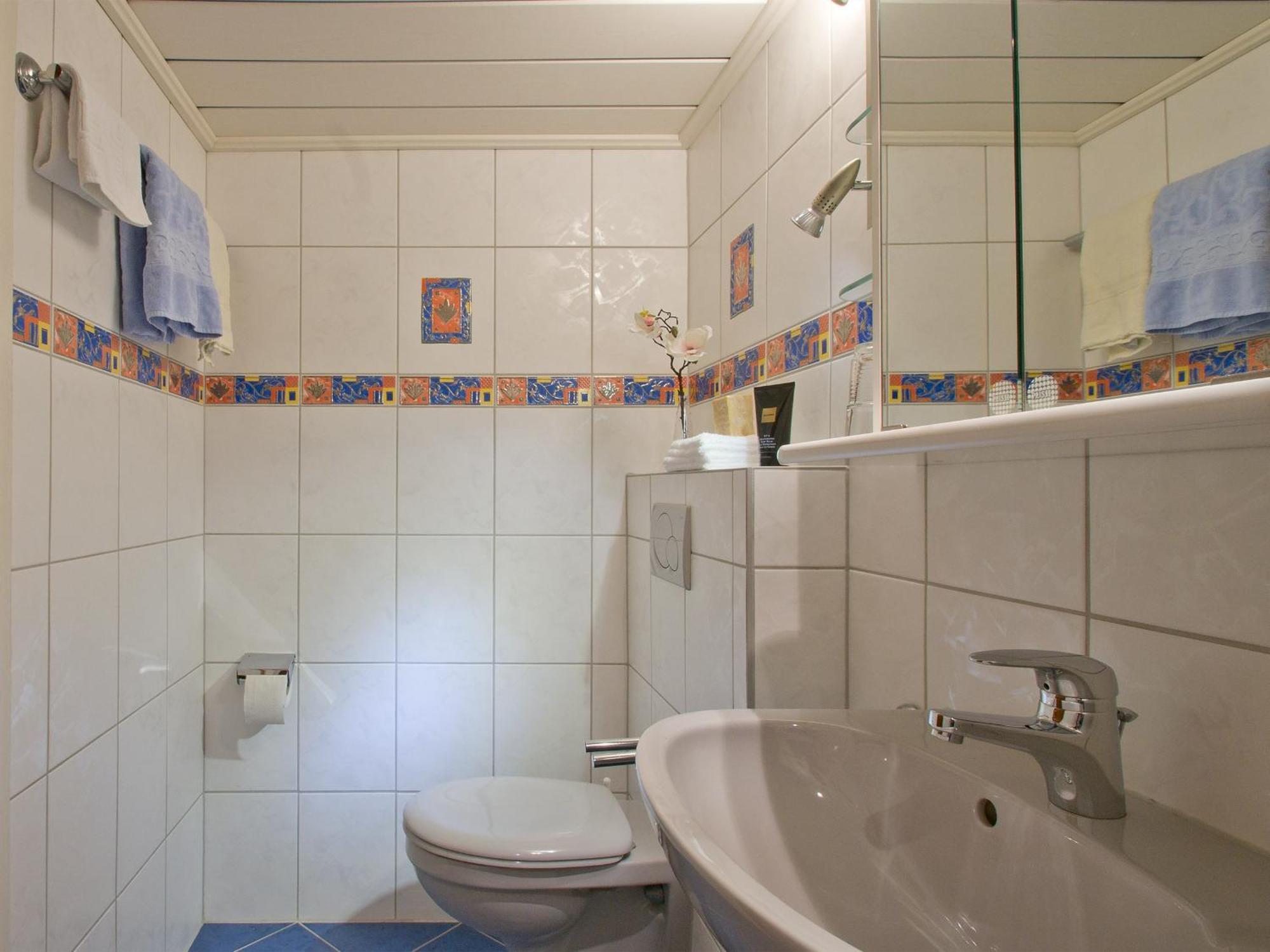 Landpension Am Sommerhang Bad Rippoldsau-Schapbach Экстерьер фото