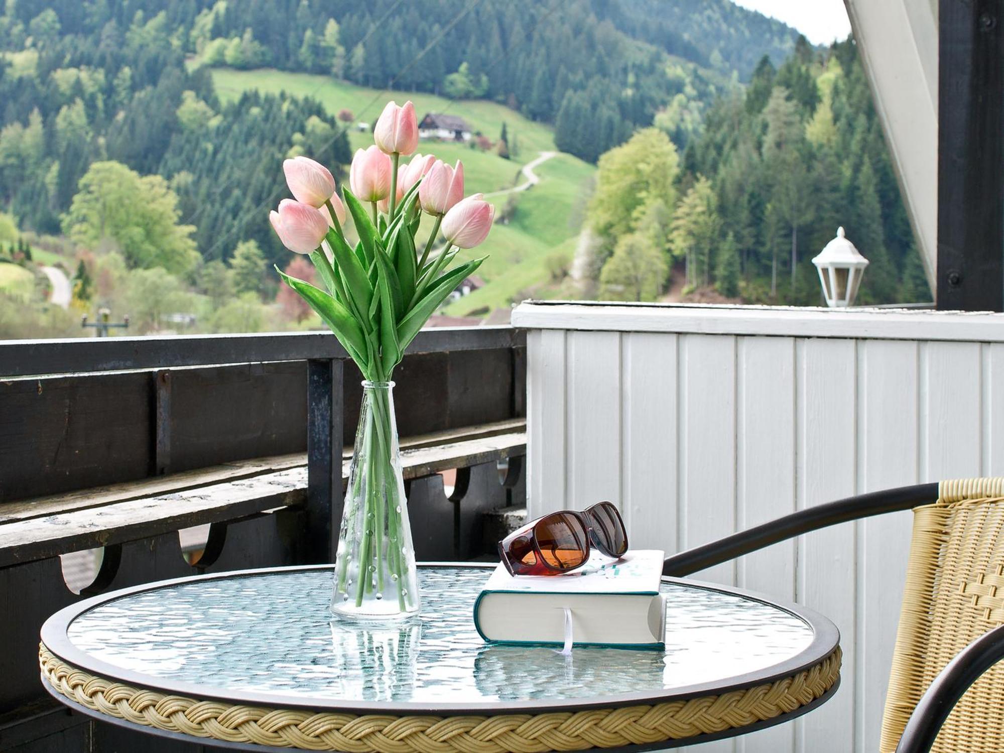 Landpension Am Sommerhang Bad Rippoldsau-Schapbach Экстерьер фото