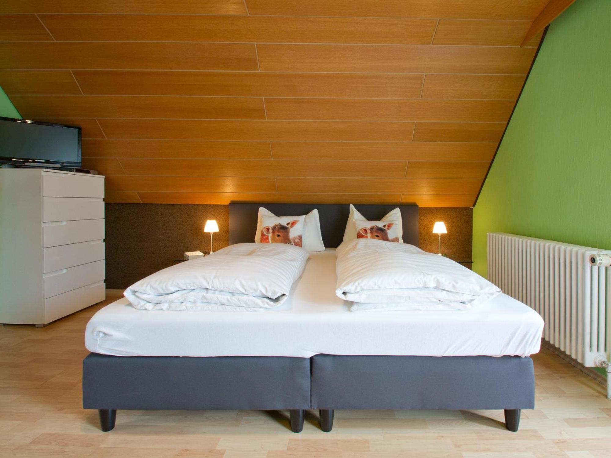 Landpension Am Sommerhang Bad Rippoldsau-Schapbach Экстерьер фото