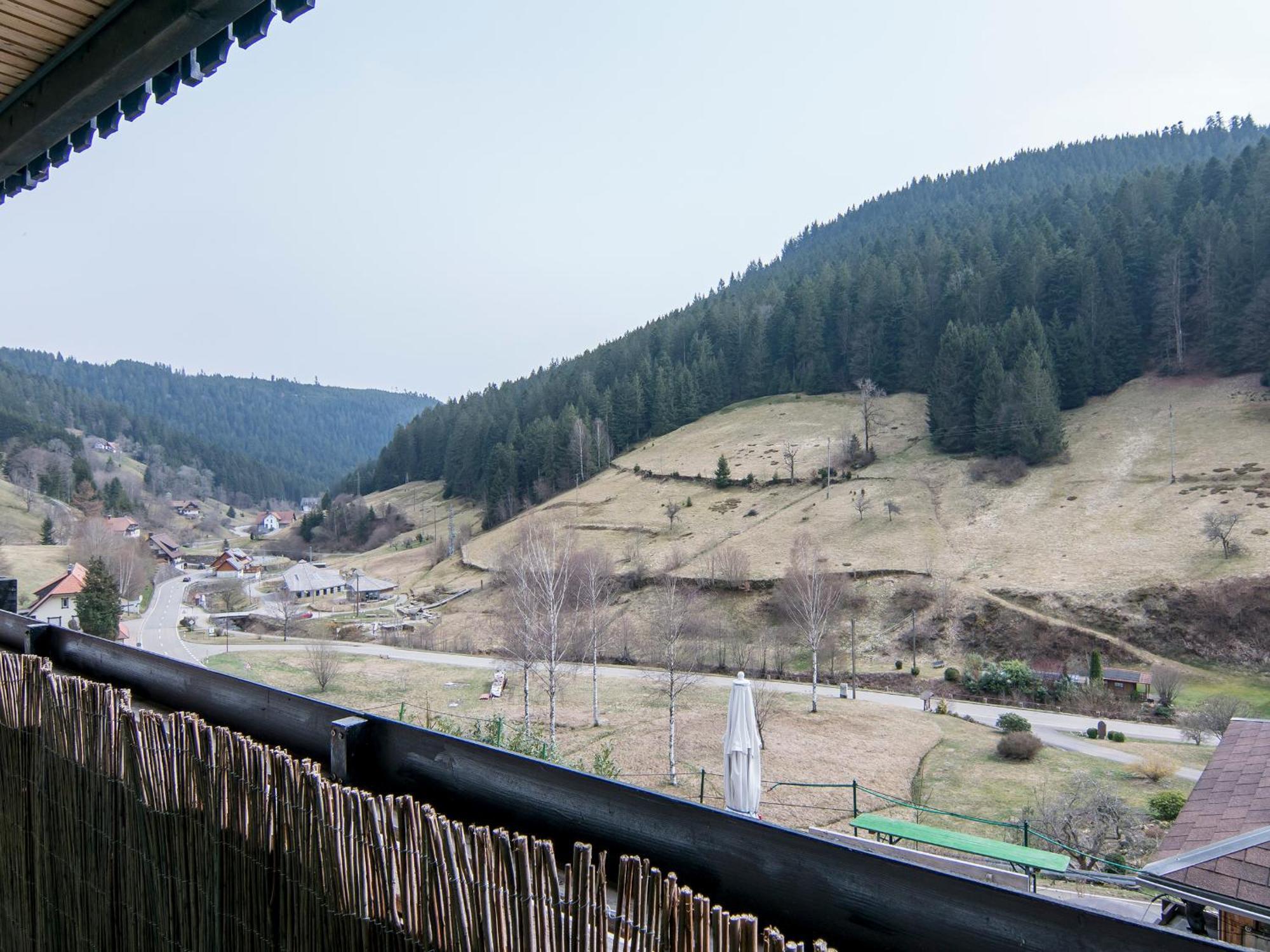 Landpension Am Sommerhang Bad Rippoldsau-Schapbach Экстерьер фото