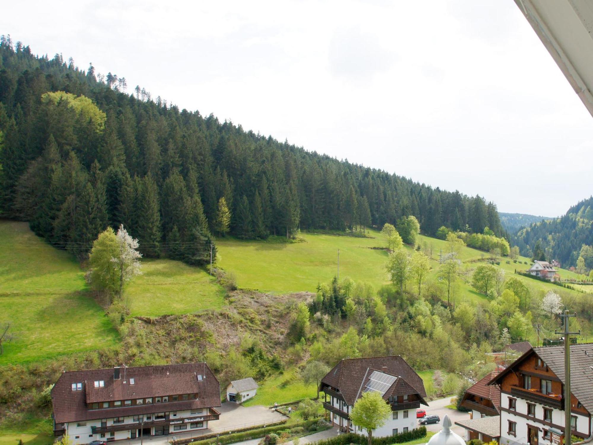 Landpension Am Sommerhang Bad Rippoldsau-Schapbach Экстерьер фото