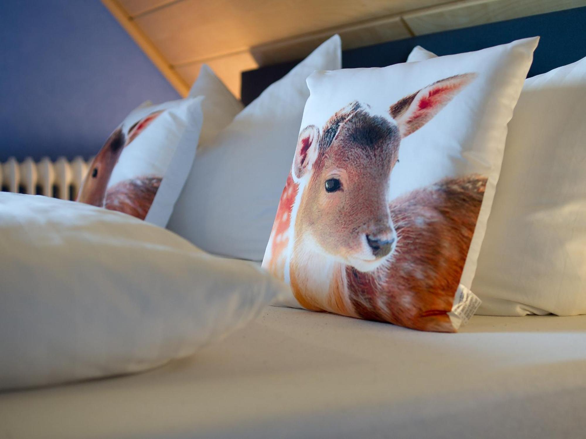 Landpension Am Sommerhang Bad Rippoldsau-Schapbach Экстерьер фото