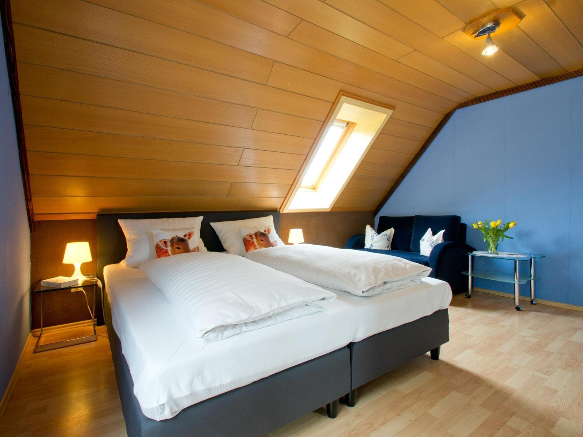Landpension Am Sommerhang Bad Rippoldsau-Schapbach Экстерьер фото